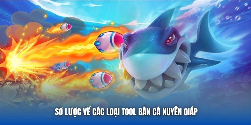 Sơ lược về các loại tool bắn cá xuyên giáp